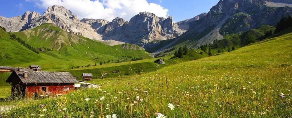 Alpencolor Hotel Tonale Пассо-дель-Тонале Екстер'єр фото